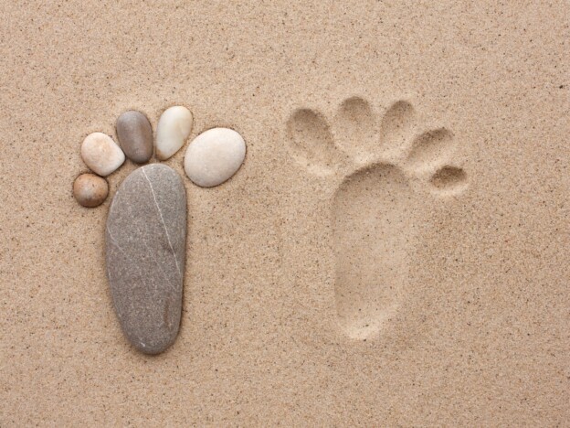 VTS coach course image