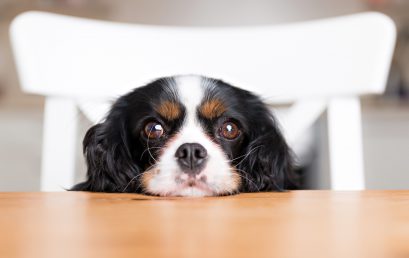 Omgaan met HSP en Indigo