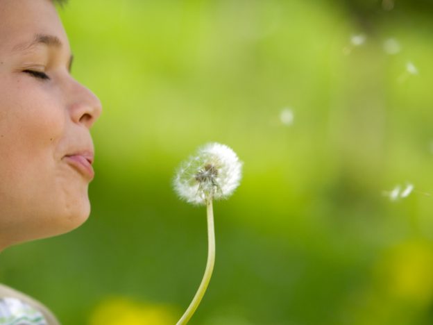 Rouwtherapeut course image