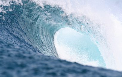 Systeemcoach Essentials