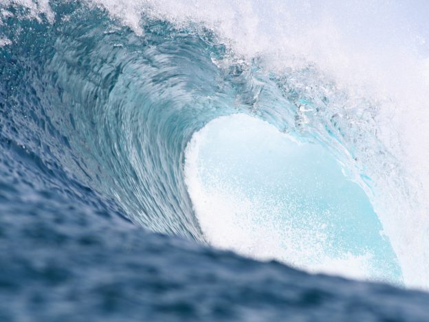 Systeemcoach Essentials course image